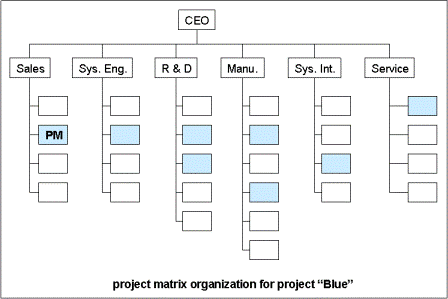 Project Matrix Organization