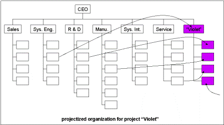 Projectized Organization Chart