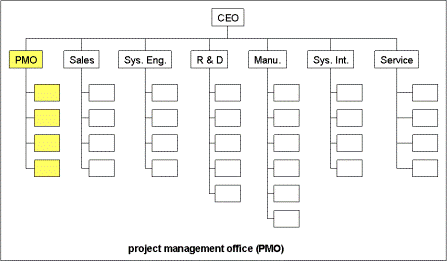 Project Management Office (PMO)